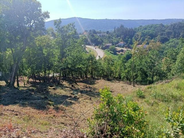 Parcela en venta en Ourense, Untes photo 0