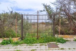 Parcela en venta en Albolote, Albolote urb. el torreon photo 0