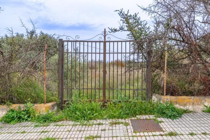 Parcela en venta en Albolote, Albolote urb. el torreon photo 0