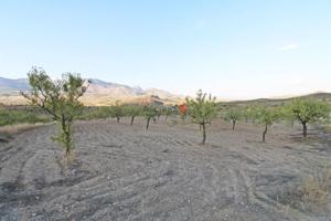 Terreno en venta en Lorca, Diputación de Fontanares photo 0