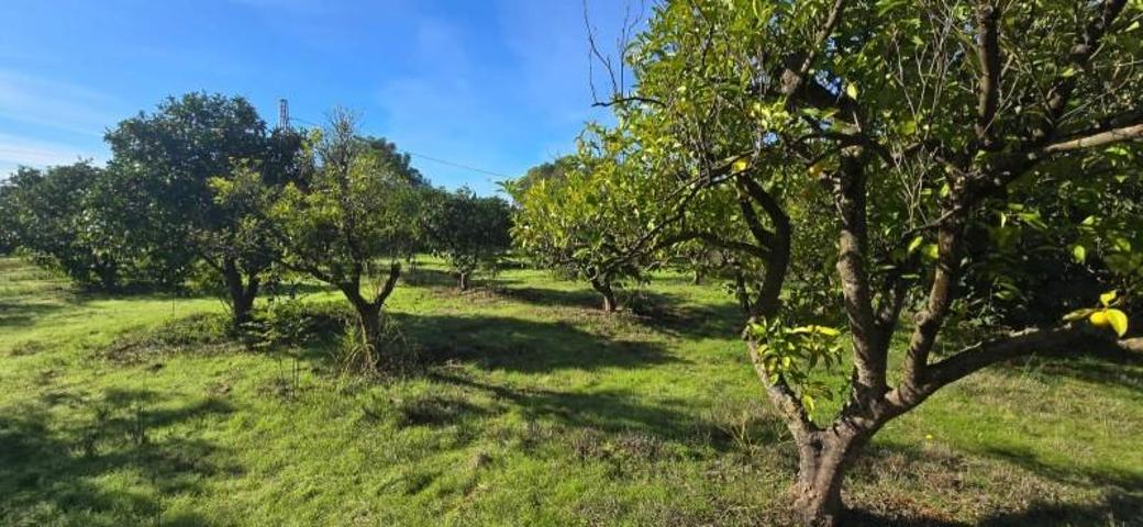 Terreno en venta en Espartinas, Urb. el capricho photo 0