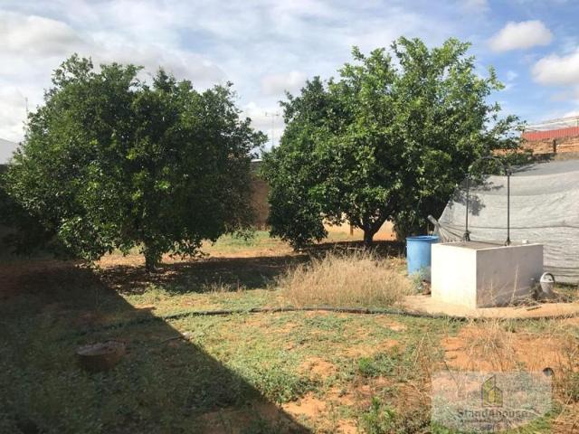 Terreno en venta en Rociana del Condado, ROCIANA DEL CONDADO photo 0