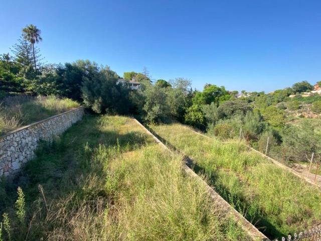 Terreno en venta en Alzira, Urbanización Respirall photo 0