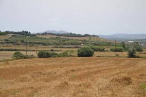 Chalet en venta en Petra, Afueras del pueblo photo 0