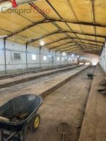 Nave industrial en venta en Escalona del Prado, Pueblo photo 0