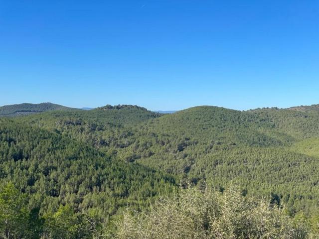 Casa en venta en Albinyana, Can gordei photo 0