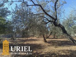 Parcela en venta en Carmona, Urbanización la celada photo 0