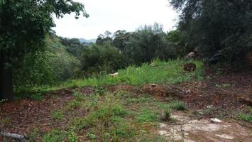 Casa con terreno en venta en Comares, Arroyo conca photo 0
