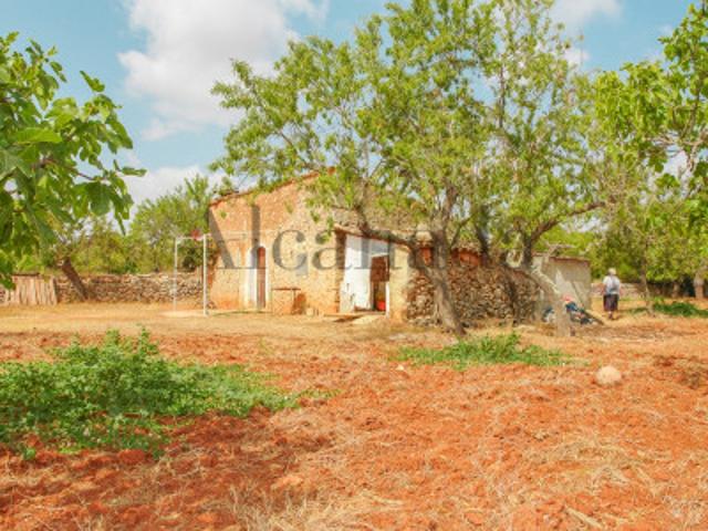 Chalet en venta en Llubí photo 0