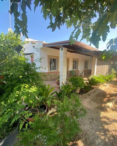 Casa con terreno en venta en La Carlota, Andalucia photo 0