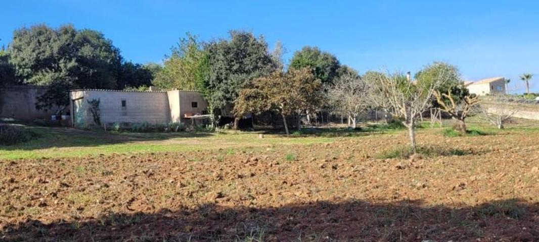 Terreno en venta en Manacor, Manacor Centro photo 0