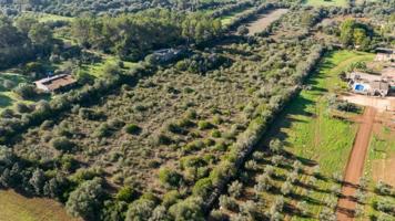 Terreno en venta en Sencelles, Nucleo urbano 60 photo 0