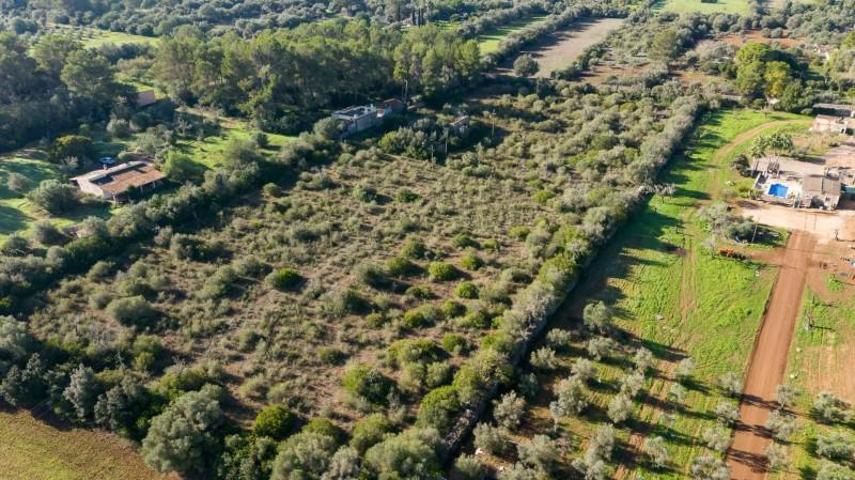 Terreno en venta en Sencelles, Nucleo urbano 60 photo 0