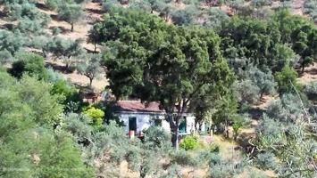 Terreno en venta en Beas, Nava (La) photo 0