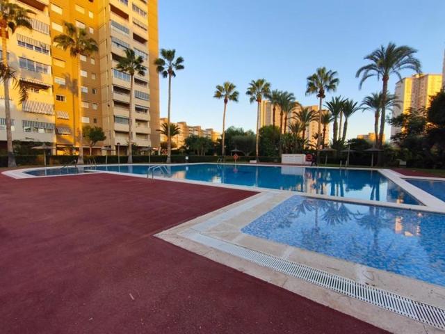 Piso en venta en El Campello, Playa Muchavista photo 0