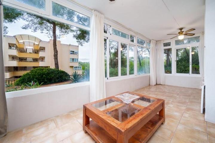 Planta baja en venta en Calvia, Costa de la Calma photo 0