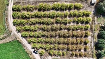 Terreno en venta en Llíria, Censals photo 0