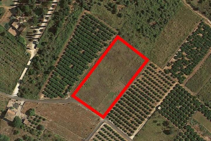 Terreno en venta en Denia, Montaña photo 0