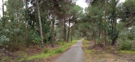 Chalet en venta en Beas, Fontanilla photo 0