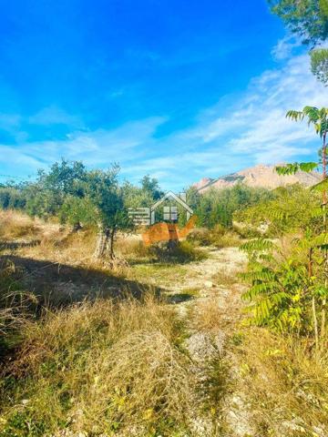 Chalet en venta en Vélez-Rubio, Velez-Rubio photo 0