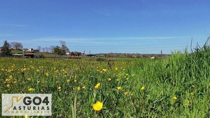 Terreno en venta en Siero, Viella-Granda-Meres photo 0