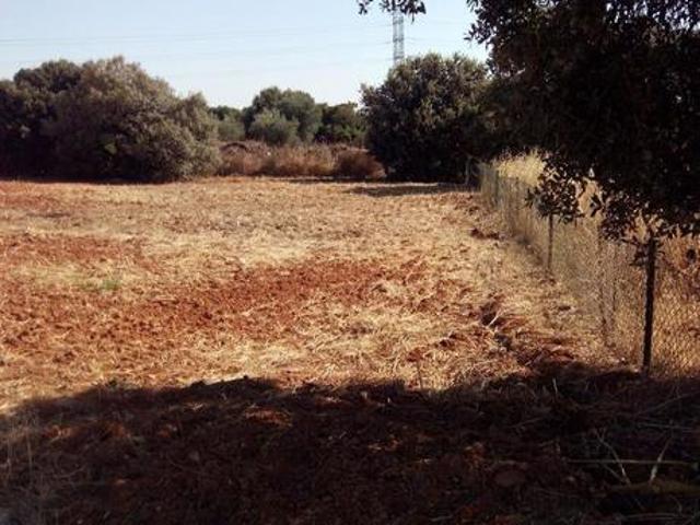 Terreno en venta en Bollullos de la Mitación, PROVINCIA DE SEVILLA photo 0
