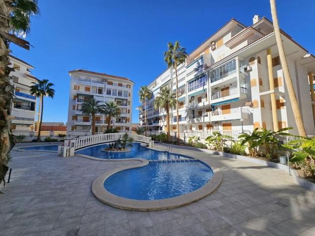 Apartamento en venta en Torrevieja, Los Europeos photo 0