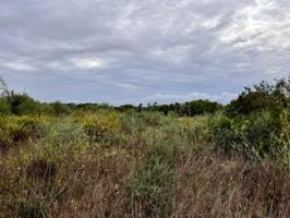 Chalet en venta en Petra, Afueras del pueblo photo 0