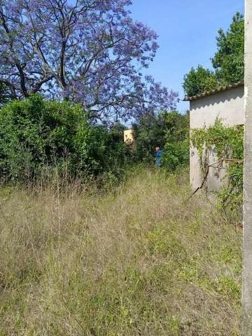 Chalet en venta en Benicarló, Zona Poble photo 0