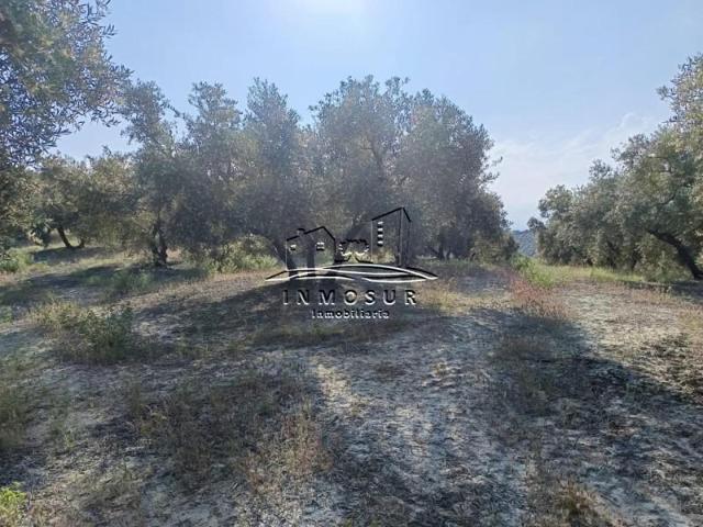 Terreno en venta en Lucena, Lucena photo 0