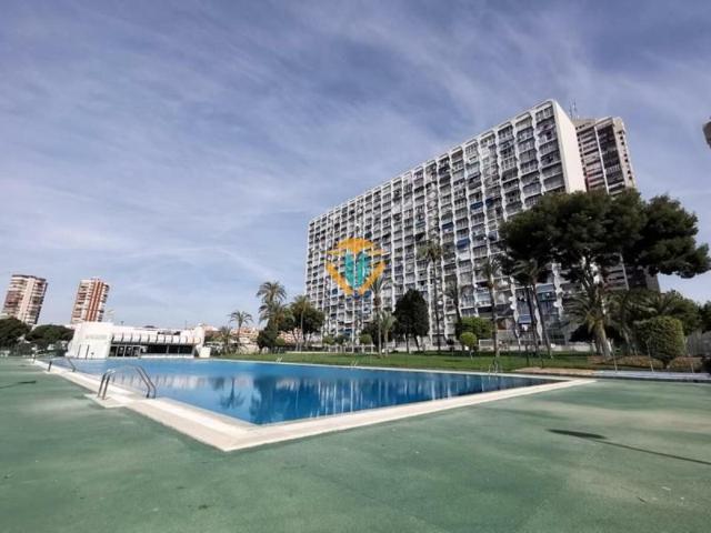 Apartamento en venta en Benidorm, Juzgados photo 0