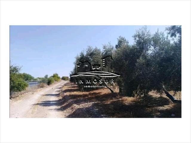 Terreno en venta en Archidona, Archidona photo 0