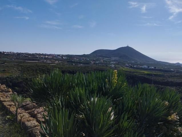 Chalet en venta en San Miguel de Abona, San Miguel de abona photo 0