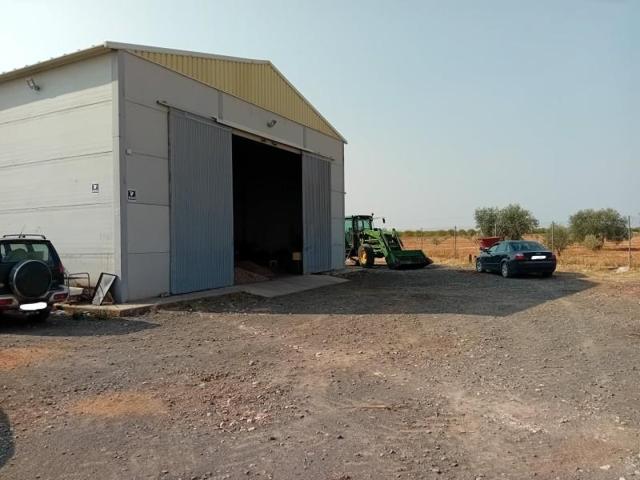 Nave industrial en venta en Pozuelo de Calatrava photo 0