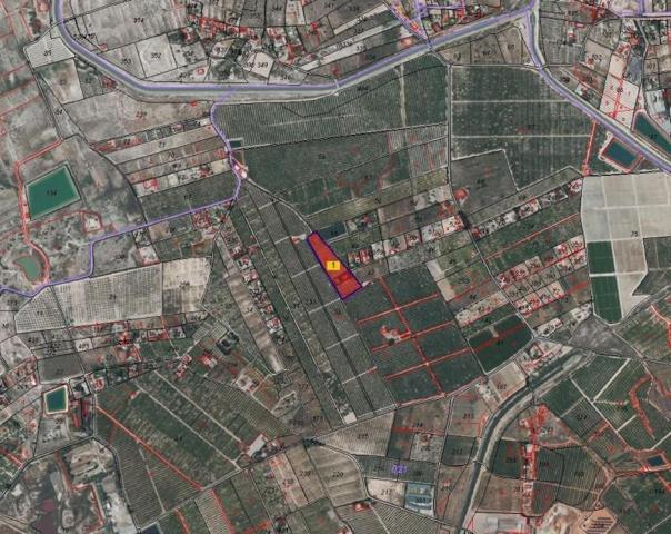 Terreno en venta en Fortuna, EL RELOJ photo 0