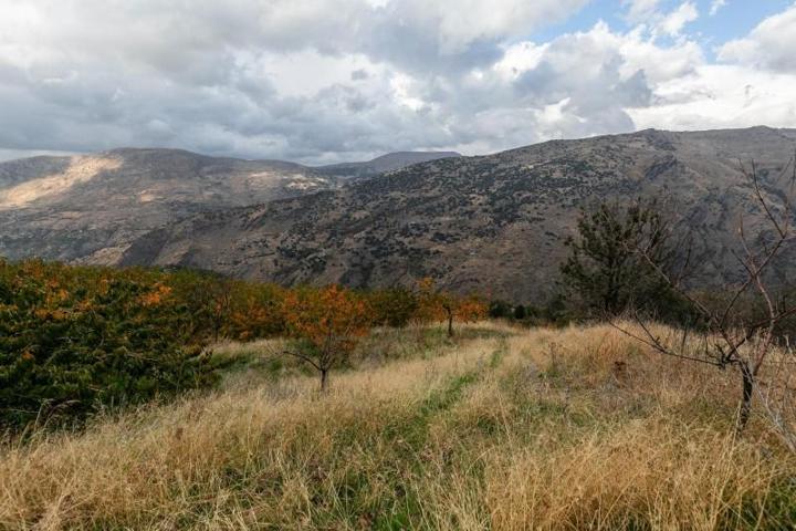 Terreno en venta en Güejar Sierra, GÜEJAR SIERRA photo 0