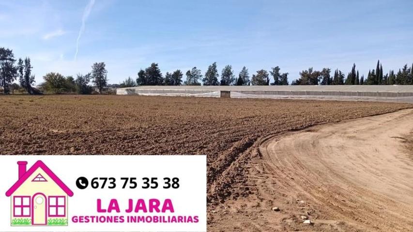 Terreno en venta en Chipiona, Carretera Chipiona, 11550 photo 0