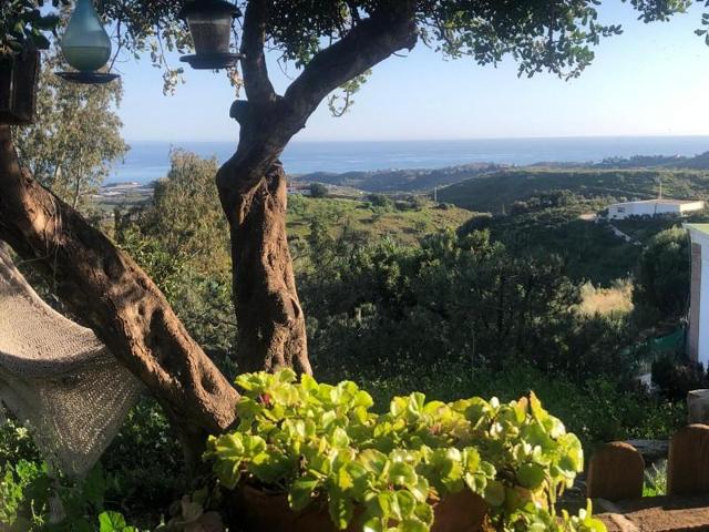 Chalet en venta en Almayate, Costa del sol photo 0