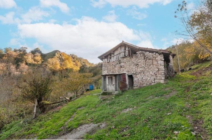 Casa en venta en Piloña, INFIESTO photo 0