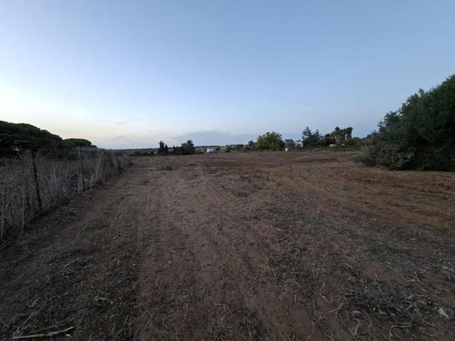 Terreno en venta en Chiclana de la Frontera, Pelagatos - Pago del Humo photo 0