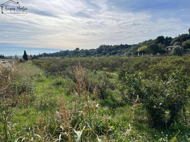 Chalet en venta en Tortosa, Tortosa photo 0