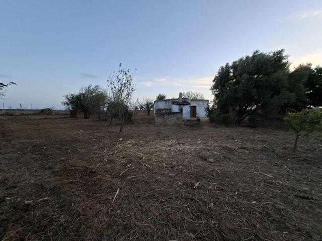 Casa con terreno en venta en Chiclana de la Frontera, Pelagatos - Pago del Humo photo 0