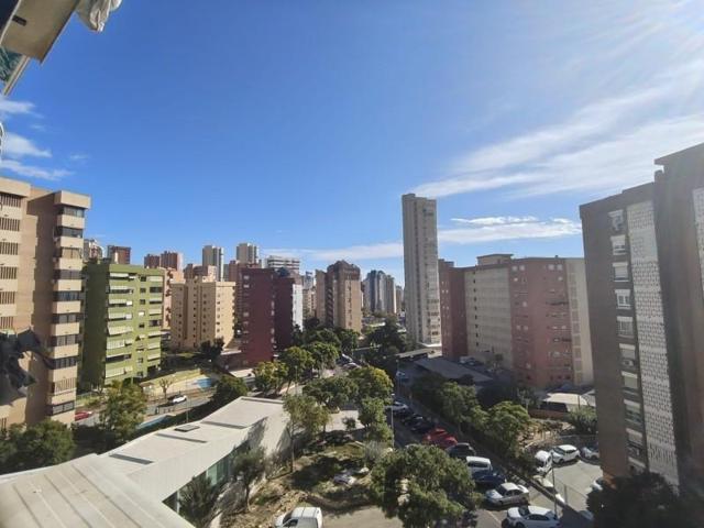 Estudio en venta en Benidorm, Juzgados photo 0