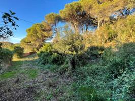 Chalet en venta en Blanes photo 0