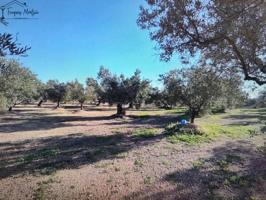 Chalet en venta en Roquetes, Roquetes photo 0