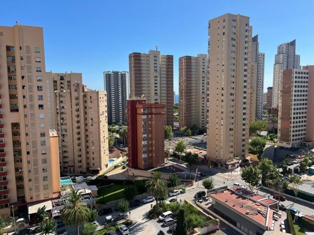 Apartamento en venta en Benidorm, Levante photo 0