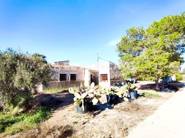 Casa con terreno en venta en San Isidro, Comunidad valenciana photo 0