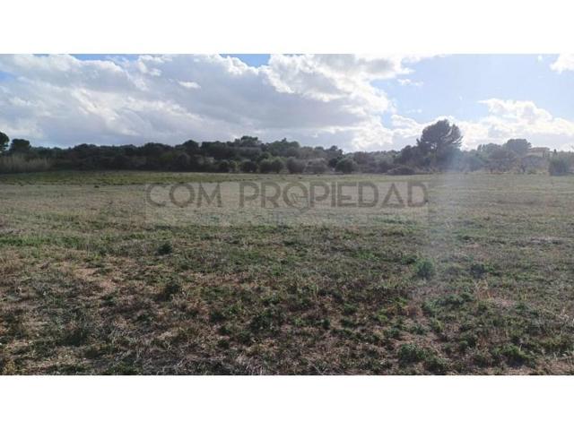 Terreno en venta en Manacor photo 0