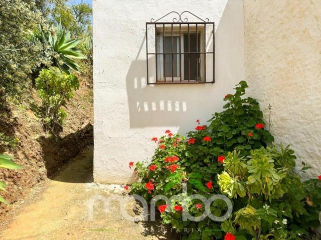 Casa en venta en Canillas de Aceituno, Pasada granadillo photo 0