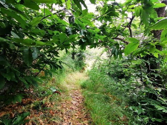 Casa en venta en Frontera, Frontera photo 0